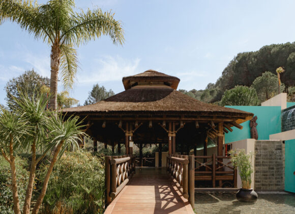 yoga-class-in-marbella-scaled