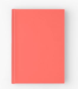 Screen Shot 2019-01-21 at 10.56.04 pm