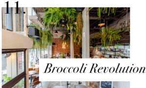 Broccoli Revolution