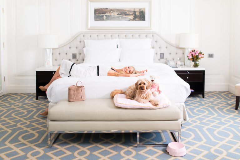 The Langham Sydney Pets Staycation package