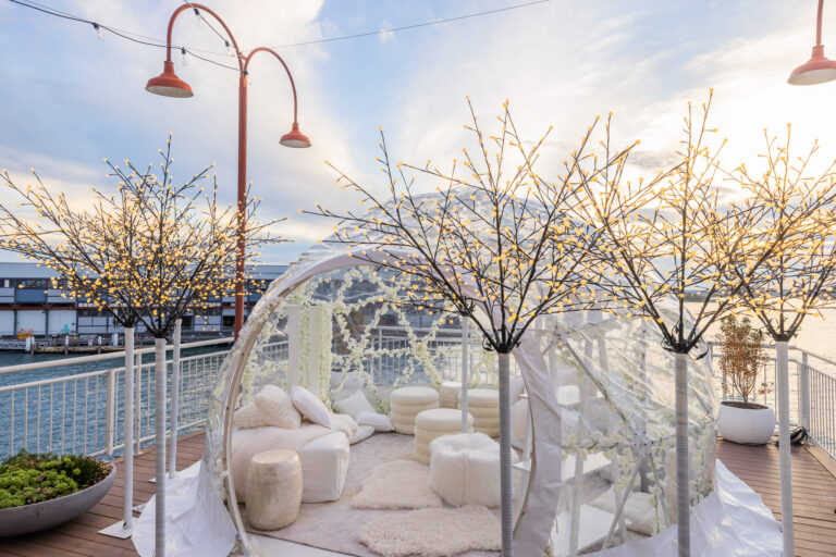 Cherry Blossom Wonderland Igloo