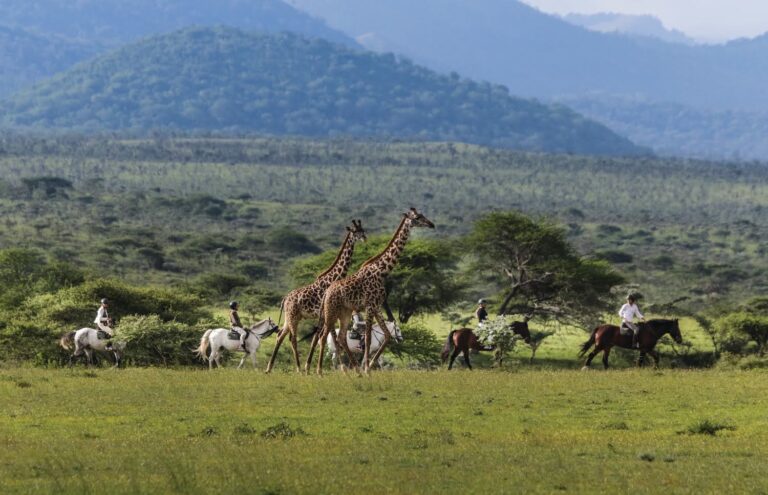 Donyo Lodge, Kenya