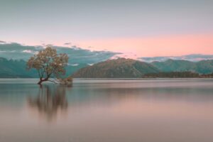 A photographer's guide to New Zealand