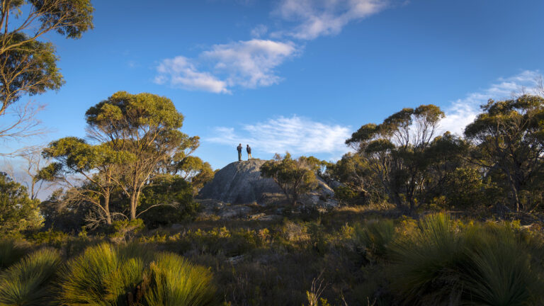 Tasmanian Walks