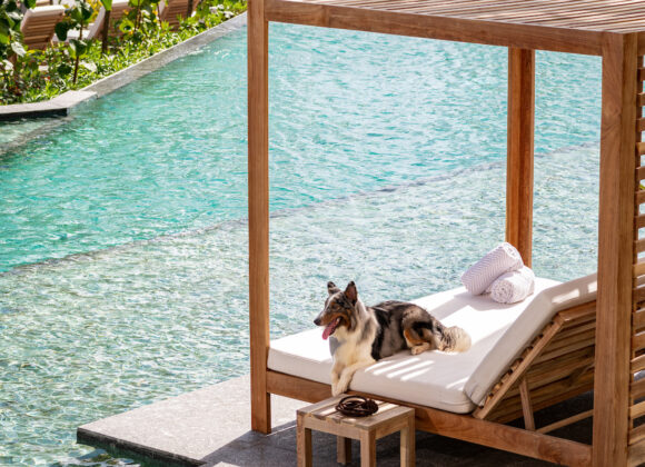 Waldorf Astoria Riviera Maya-Pet Friendly (1)