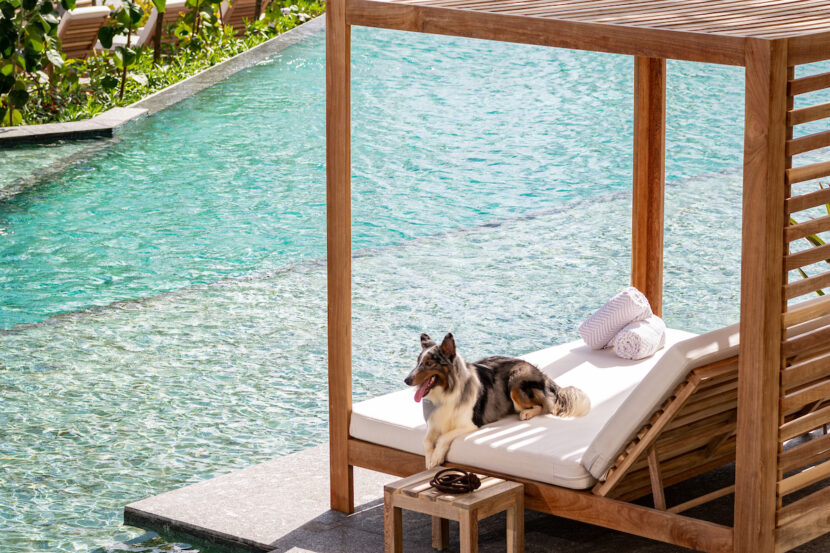 Paws & Luggage: The Definitive Guide to Luxury Pet-Friendly Hotels Around the Globe Waldorf Astoria Riviera Maya-Pet Friendly (1)