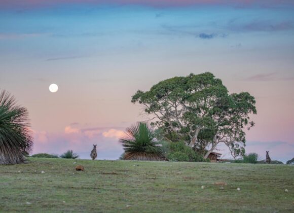 Kangaroo Valley-min