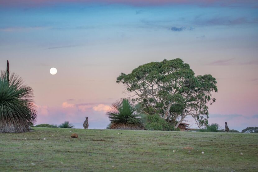 Kangaroo Valley-min