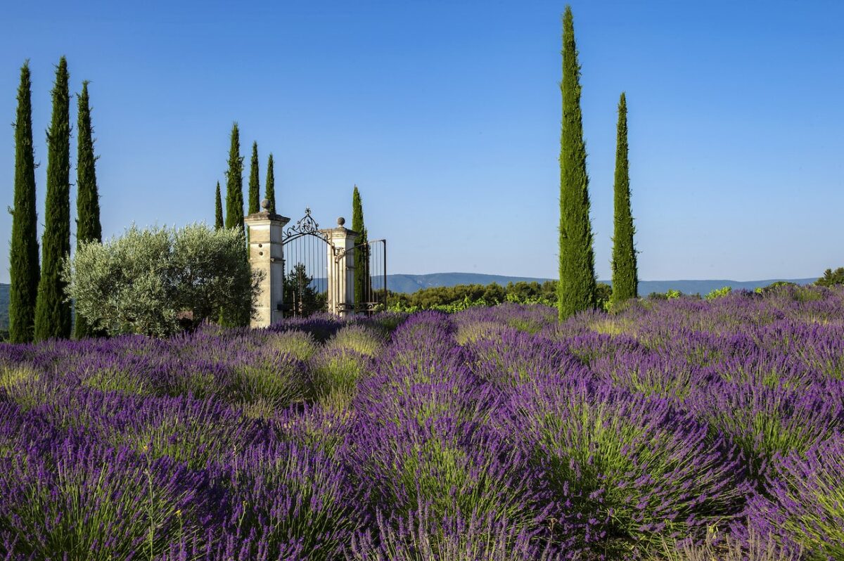 Courtesy of Coquillade Provence_Coquillade Village (2)-min