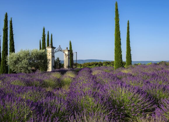 Courtesy of Coquillade Provence_Coquillade Village (2)-min