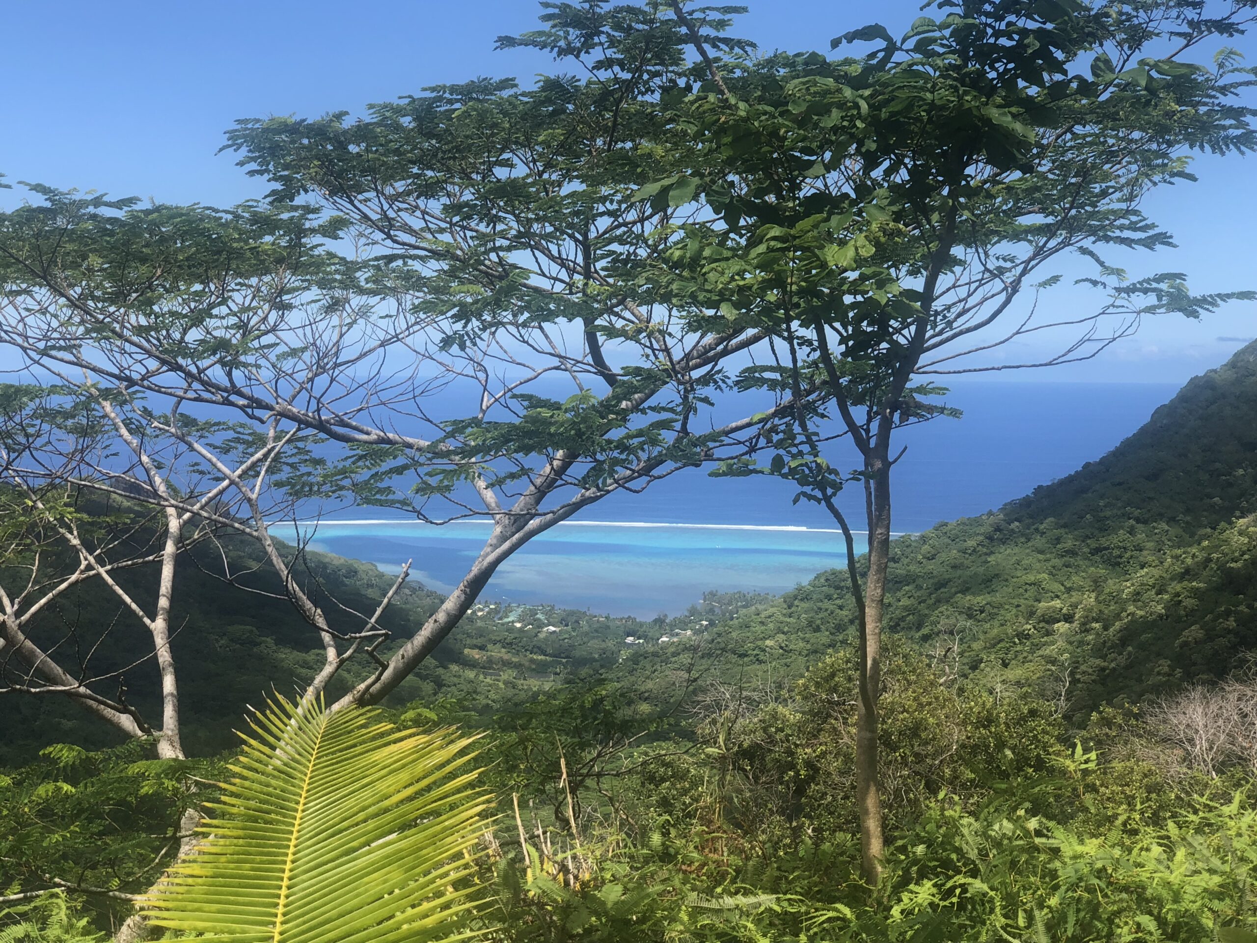 French Polynesia