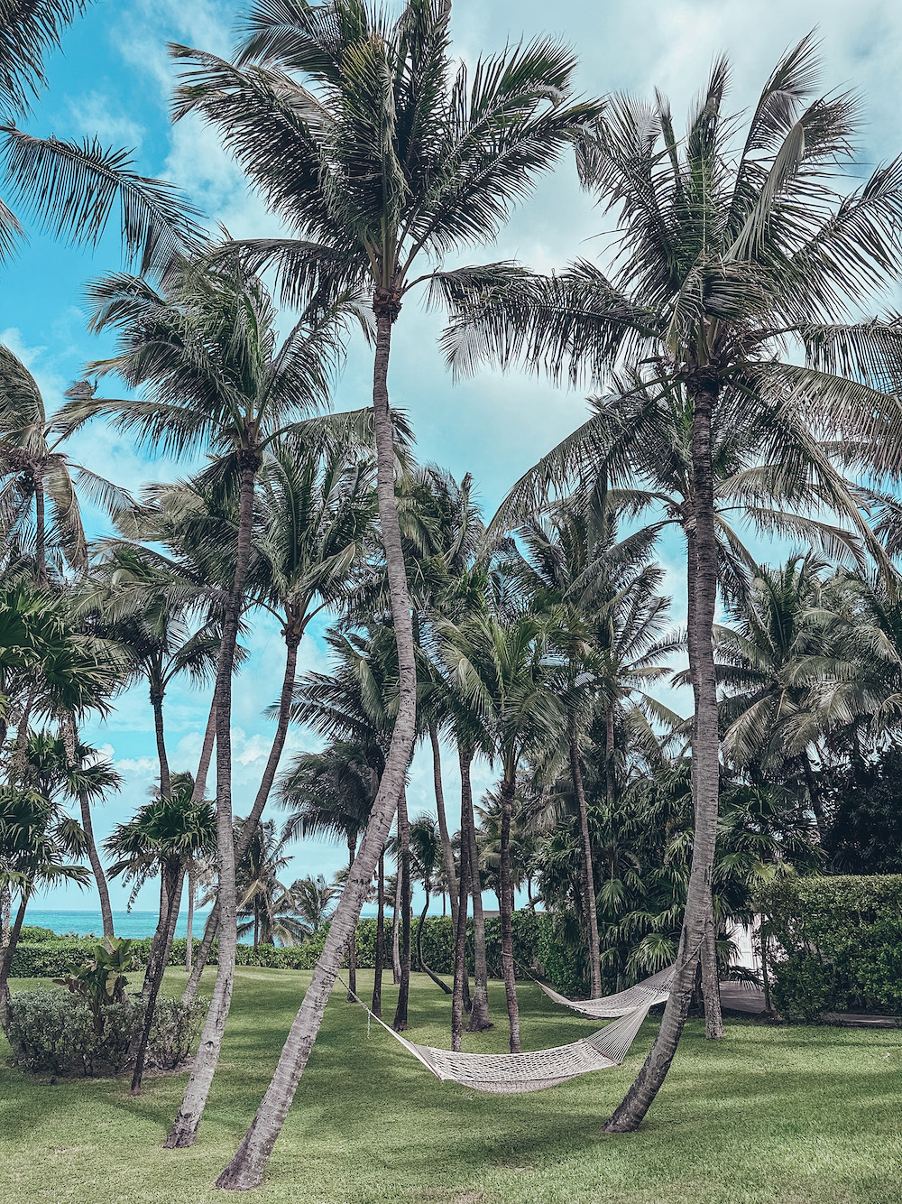 Stay in the Bahamas