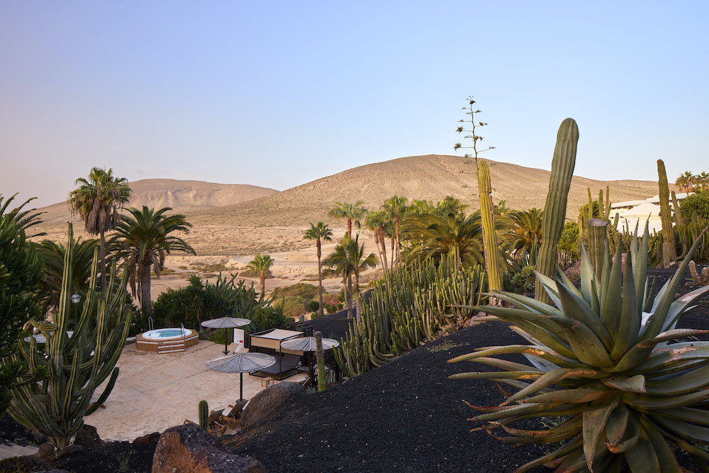 Paradisus Fuerteventura