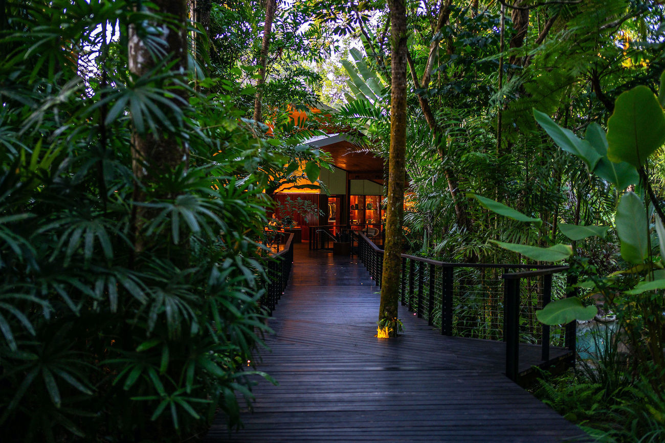 Hotel Review: Silky Oaks Lodge for the perfect Daintree Reset Silky Oaks Lodge