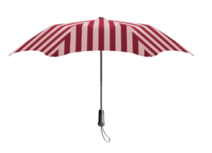 blunt umbrella