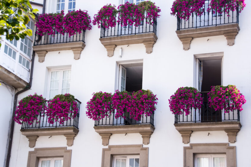 Purple facade
