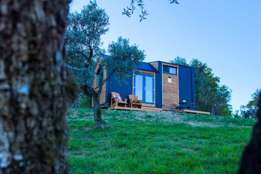 Olivo Nomade 2