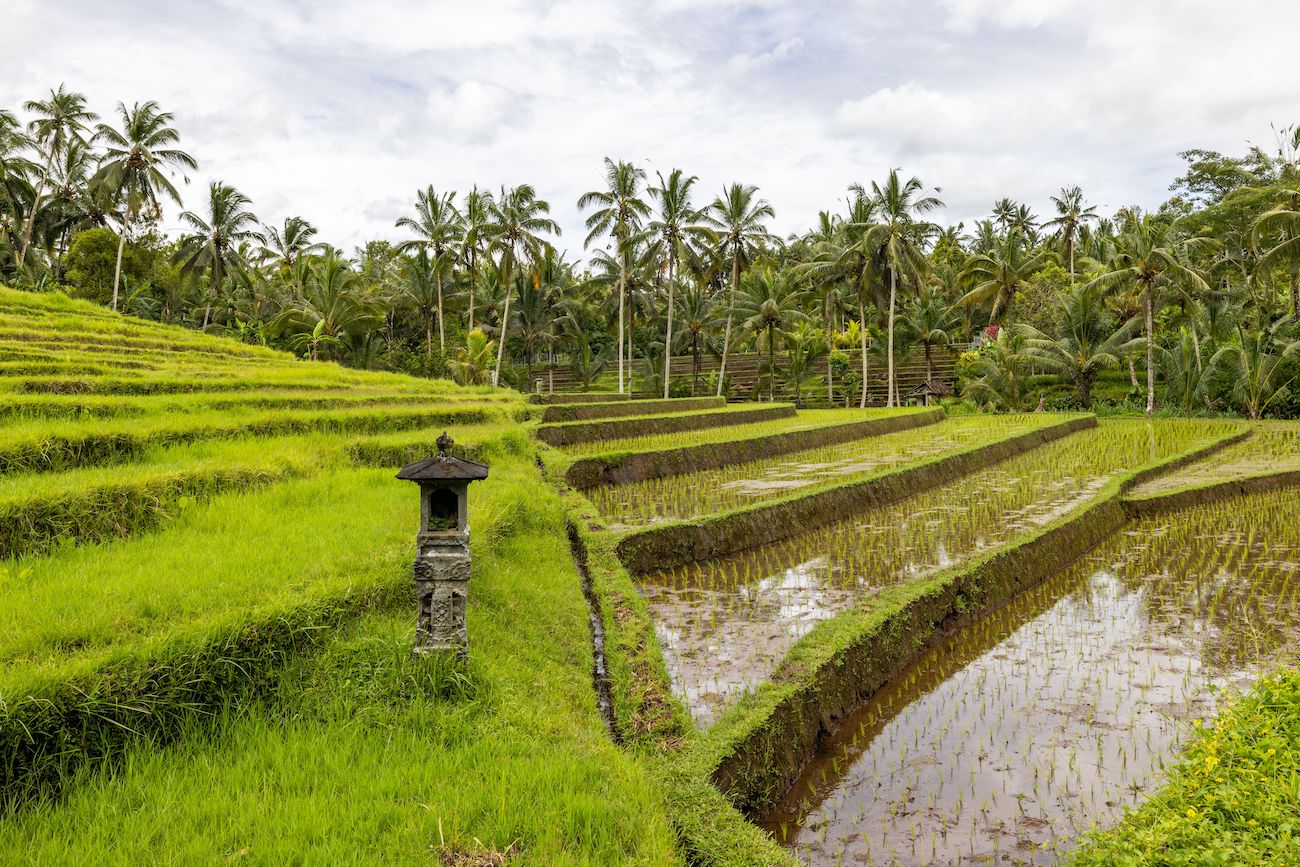 Bali Travel Guide