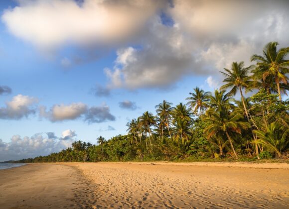 Picture of Mission Beach, Queensland, Australia