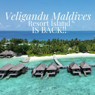 Veligandu Maldives Resort Island is back, and she’s undergone a glow-up that even the most seasoned island-hoppers will swoon over. After a year of renovations, this OG Maldivian beauty is opening her revamped doors on November 23, 2024. So, pack your sunscreen, your sense of adventure, and a kaftan or two, because paradise is calling—and she’s got a cocktail with your name on it.

Located in the dreamy North Ari Atoll, Veligandu is just a breezy 20-minute seaplane ride from Malé. (Or, for those who prefer their arrivals a little more James Bond, a 60-minute speedboat ride is also on the table.) Established way back in 1984, this isn’t some cookie-cutter resort slapped onto a man-made island. Nope, Veligandu is the real deal—lush, authentic, and absolutely oozing with Maldivian charm. @veligandumaldives